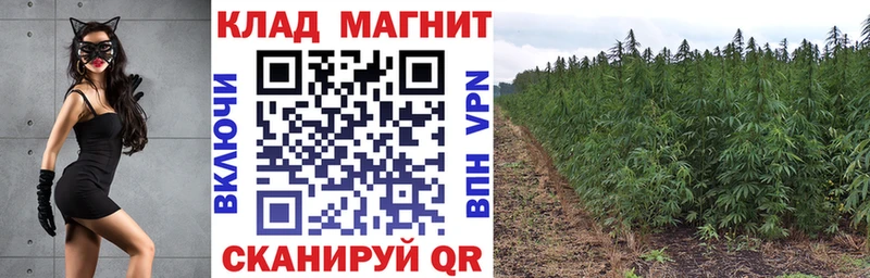 Купить наркотик аптеки Лобня Alpha-PVP Мефедрон Амфетамин Кокаин Бошки Шишки