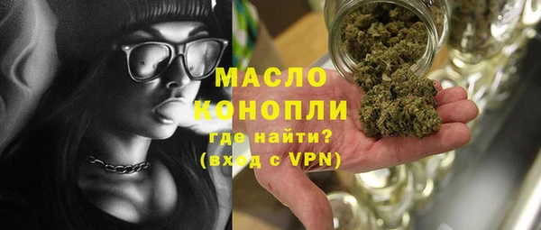 гашик Вяземский