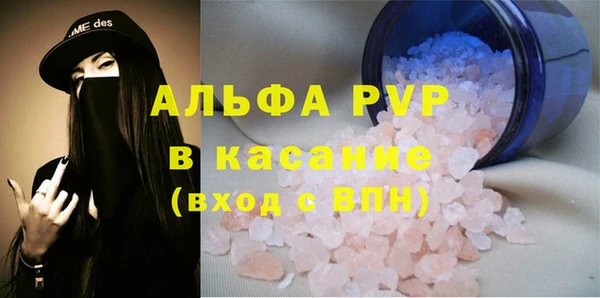 индика Вязники