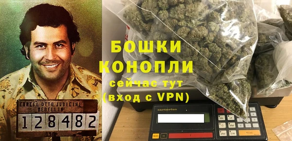 индика Вязники