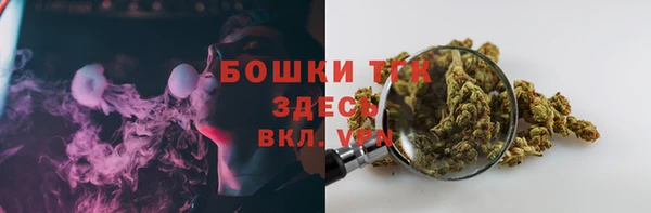 гашик Вяземский