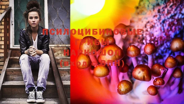 индика Вязники