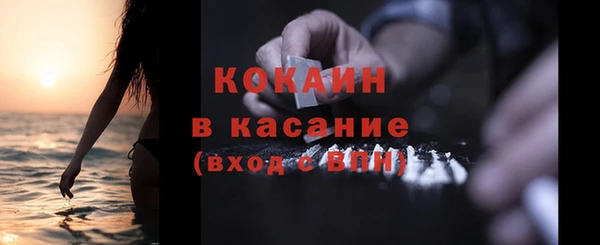 индика Вязники