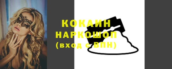 гашик Вяземский