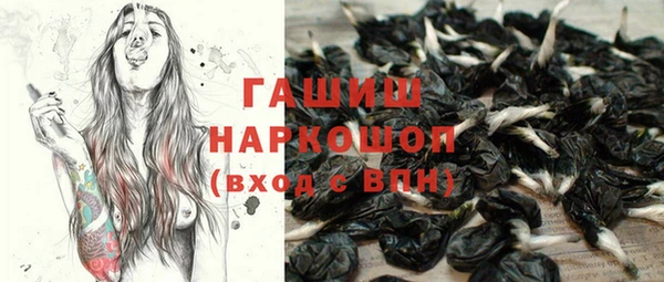 гашик Вяземский
