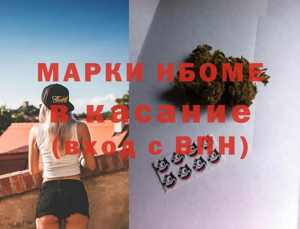 индика Вязники