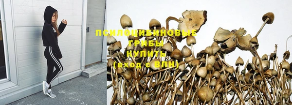 индика Вязники