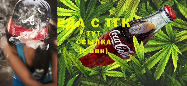 гашик Вяземский