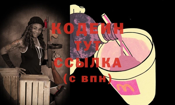 гашик Вяземский