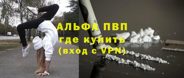 гашик Вяземский