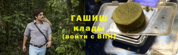 индика Вязники